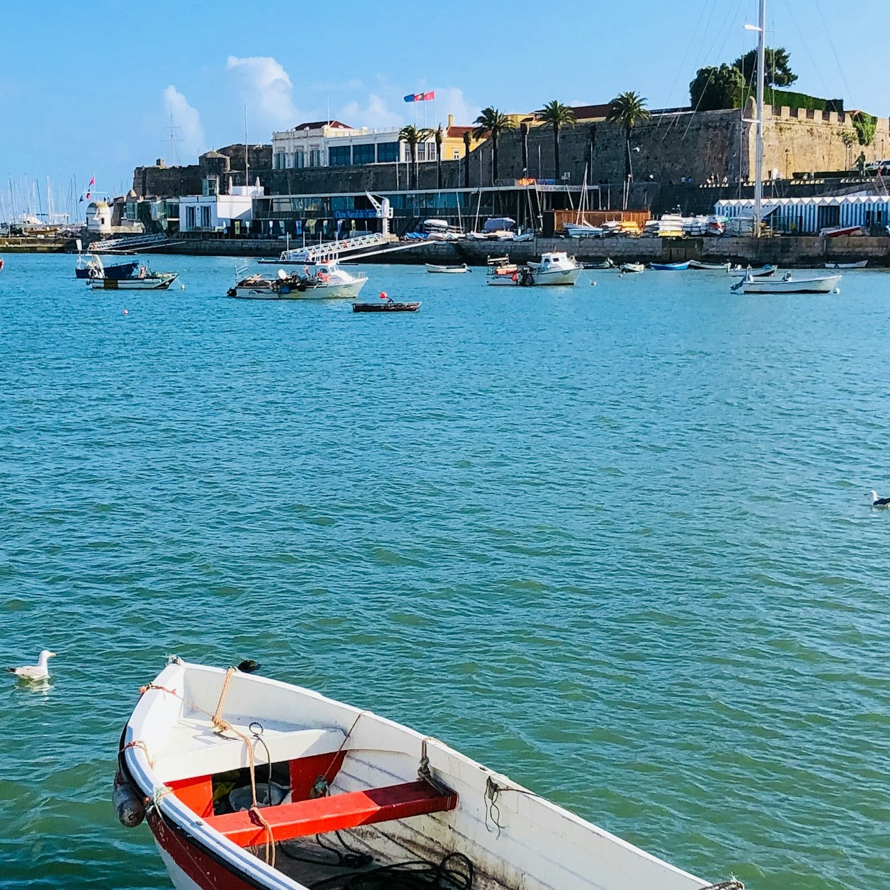 boats-and-sea-infront-of-city-port